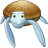 animal, turtle icon