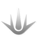 11 W icon