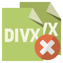 file,format,divx,close icon