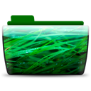 wallpaper icon