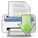 print icon