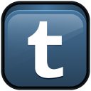 tumblr,social,social network,sn icon