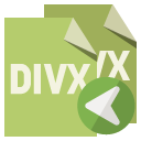 file,format,divx,left icon