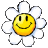 yoshi,flower icon