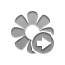 flower,right icon