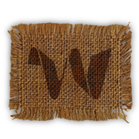 google,wave icon