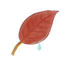 ak, leaf icon