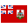 bm icon