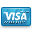visa,credit card,payment,pay,check out icon