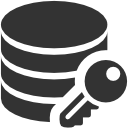 data,encryption icon