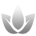 14 W icon