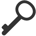 password icon