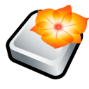 adobe,illustrator icon