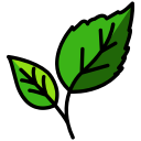 ecology, green, leaf, plant, spring svg vector icon