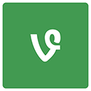vine icon