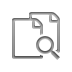 copy,zoom icon