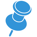 pin icon