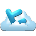 px, twitter icon