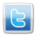 twitter,social network,social,sn icon