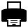 print icon