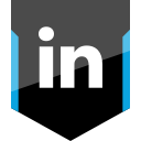 linkedin, shield, social svg vector icon