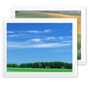 images, photos, pictures icon
