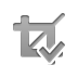 crop,checkmark icon
