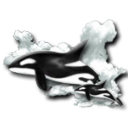 dolphin icon