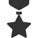 medal icon