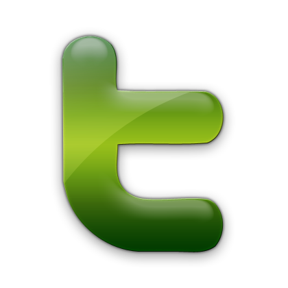 twitter,social network,social,sn icon