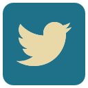 media, social, twitter svg vector icon