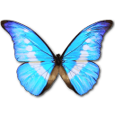 morphohelenapersonal icon