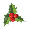 christmas, mistletoe icon