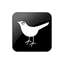 bird, twitter icon