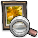 preview icon