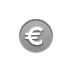 coin,euro icon