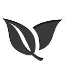 29 icon