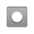 record icon