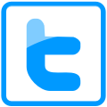 twitter,social network,social,sn icon