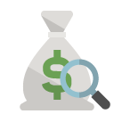 money,bag,zoom icon