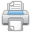 print icon