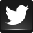 twitter icon
