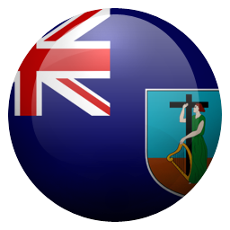 ms icon