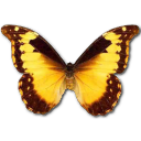 morphodiana icon