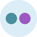 brand, flickr, logo, network, social svg vector icon