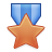 medal,bronze icon