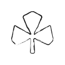 canada, growth, leaf, maple, startup svg vector icon