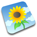 wallpaper icon