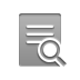 stamped,document,zoom icon
