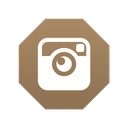 instagram icon